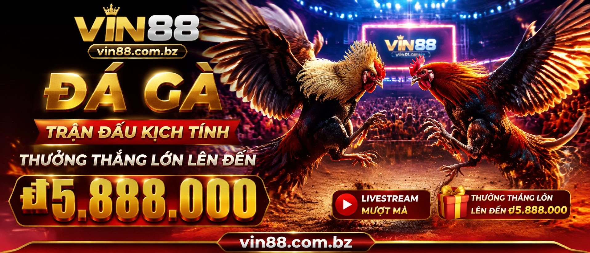 Đá Gà Campuchia trên giao diện di động VIN88