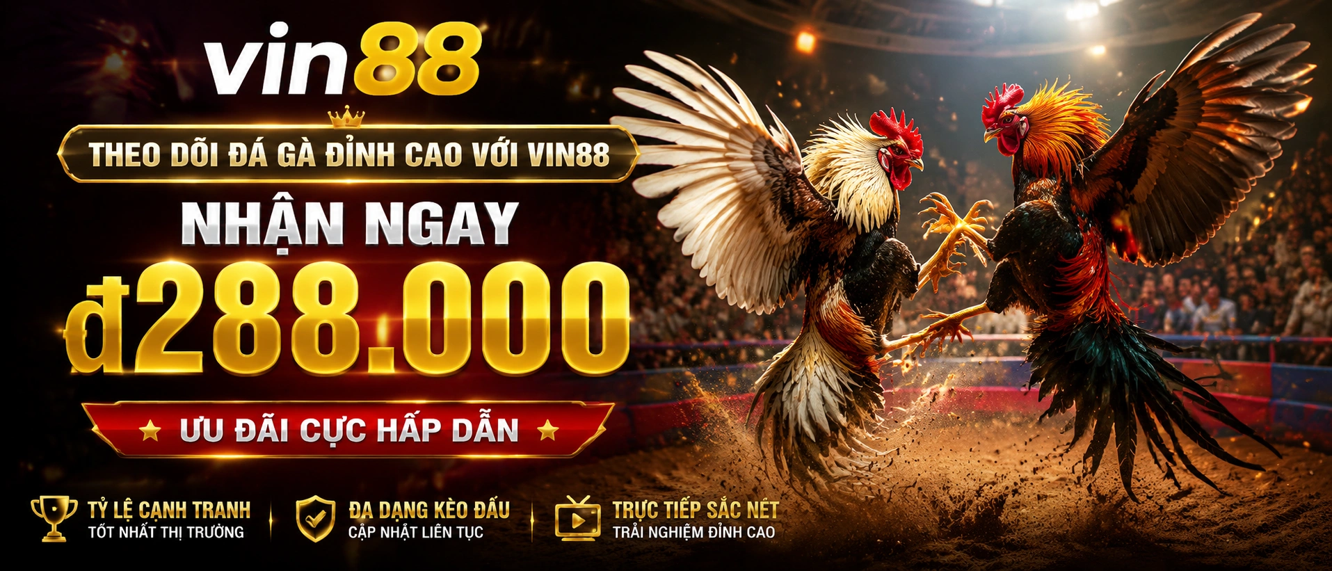 Đá Gà Cựa Sắt trong khu nội dung VIN88